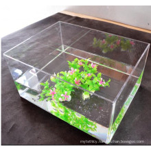 Acrylic Aquarium Construction Best Fish Tank